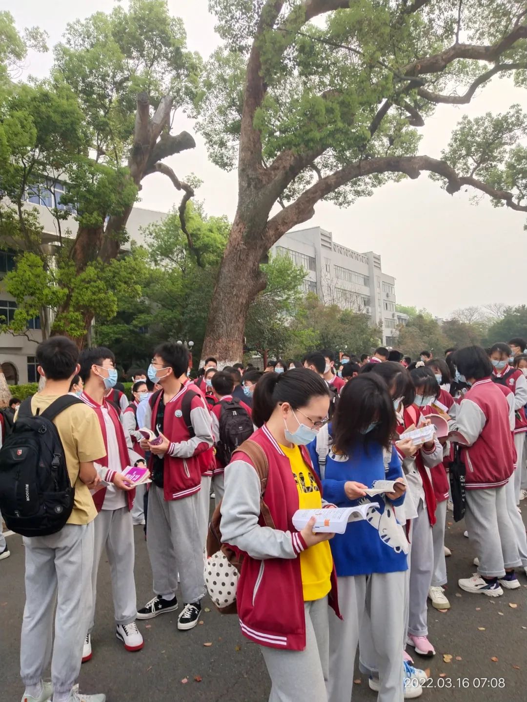 DSC_7375.jpg 圖片